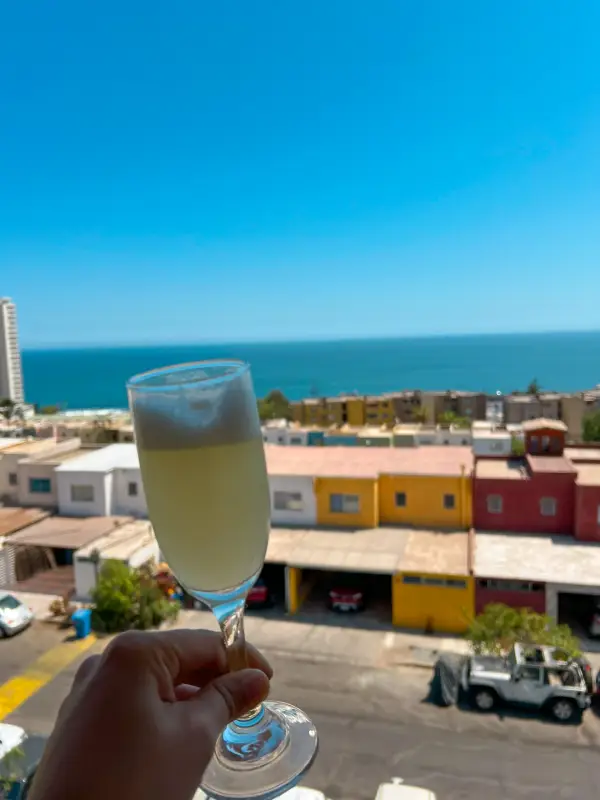 bebida-tipica-de-chile-pisco-sour
