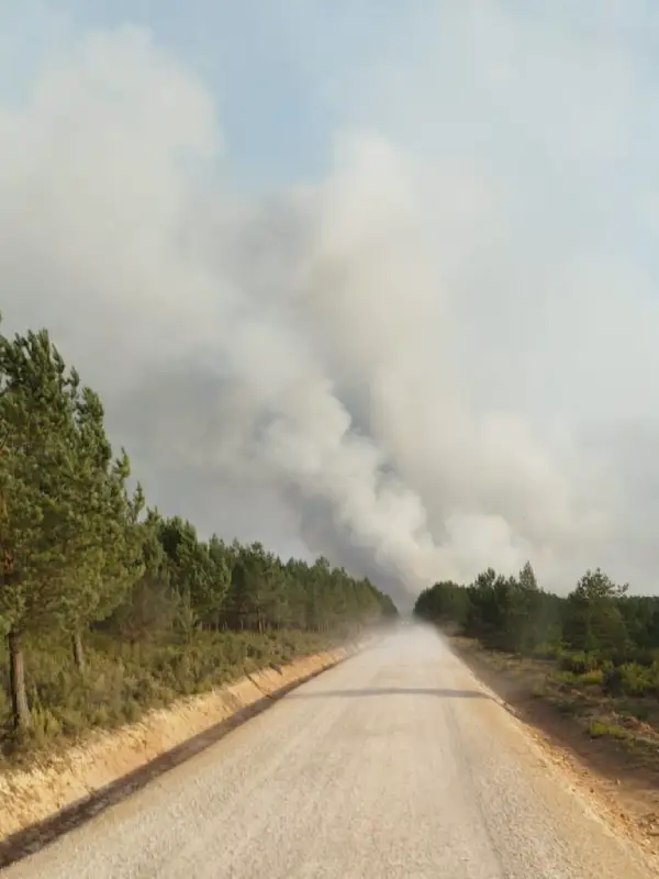 turismo-rural-en-palencia-monte-riocamba-incendio-helicoptero