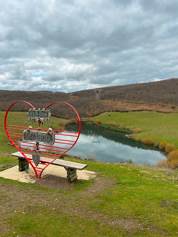 Turismo rural en Palencia y alrededores: cómo ayudar tras los incendios forestales 3