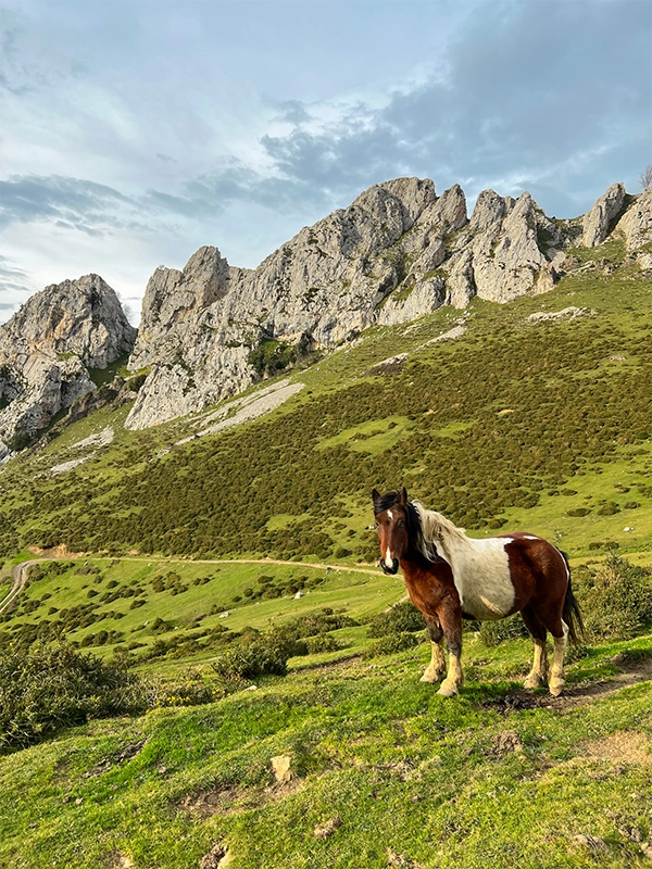 ruta-al-ojo-de-buey-y-pena-mea-collada-donango