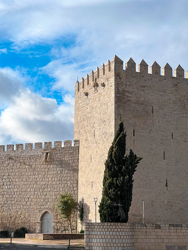 castillos-de-palencia-castillo-de-monzon-campos castillos-de-palencia-castillo-de-monzon-campos
